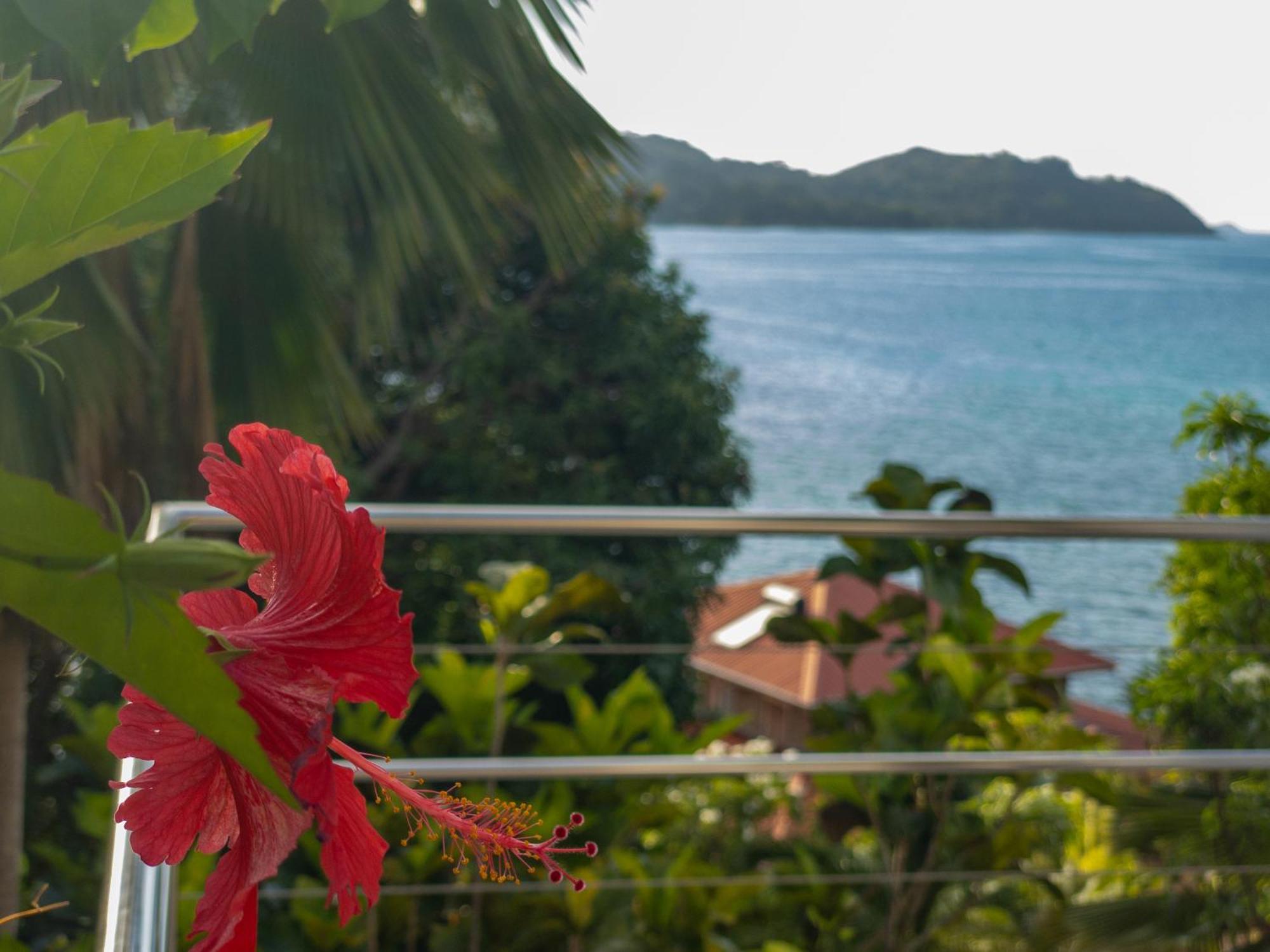 Villa Passage Du Soleil Anse Volbert Village Exterior foto