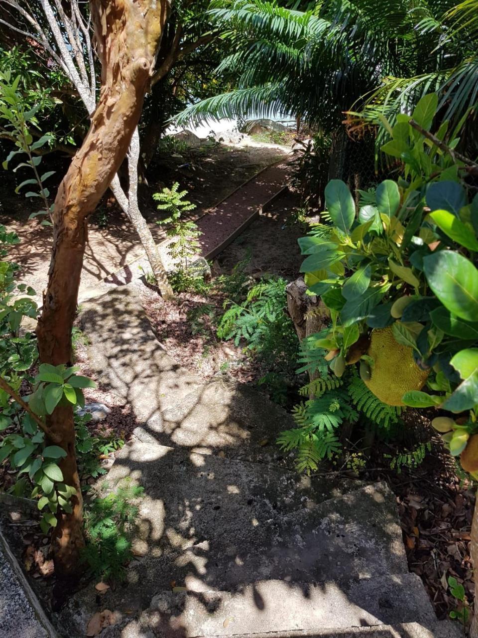 Villa Passage Du Soleil Anse Volbert Village Exterior foto